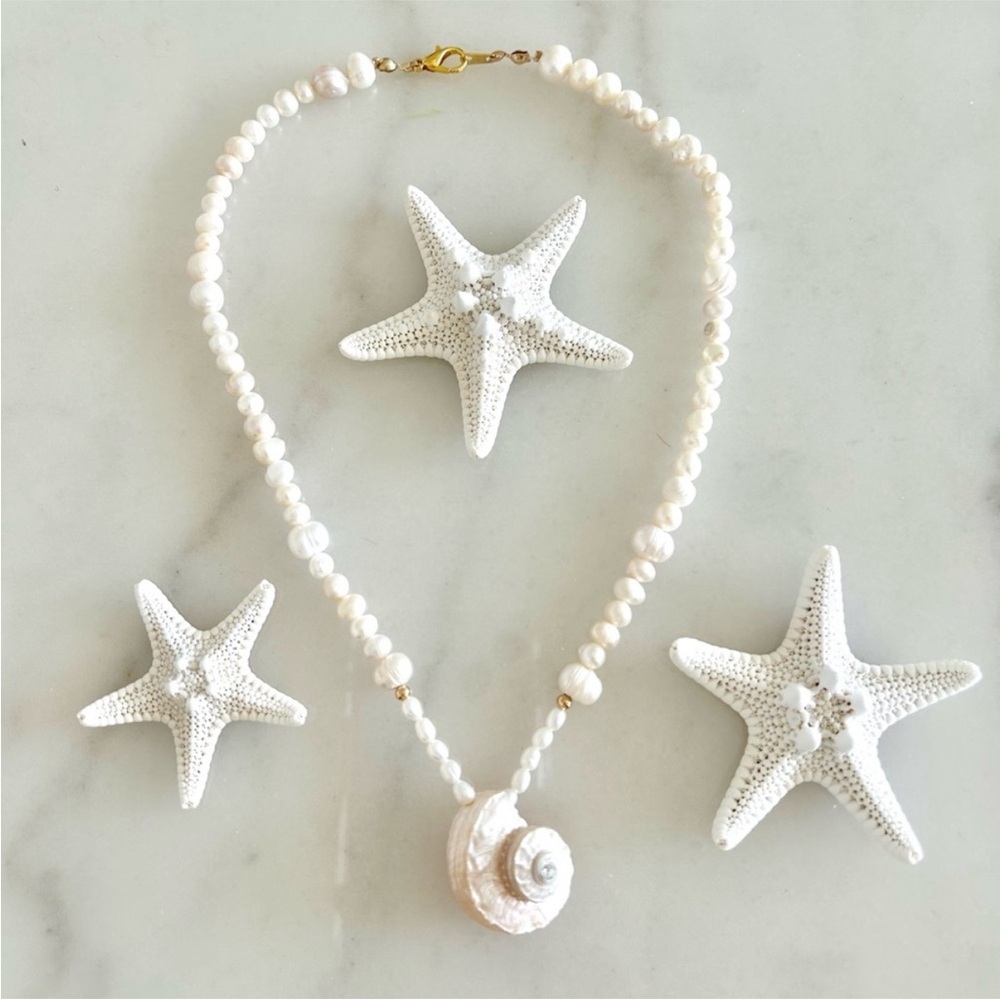 Seashell Necklace